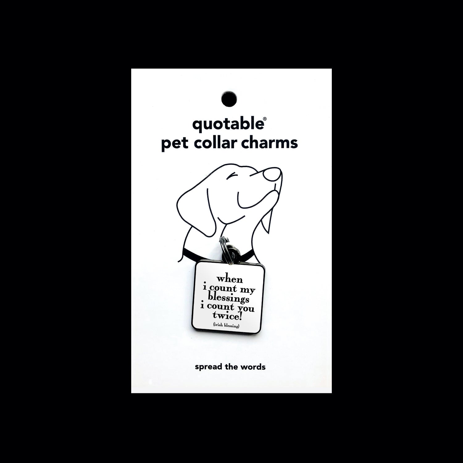 "count my blessings" pet collar charm