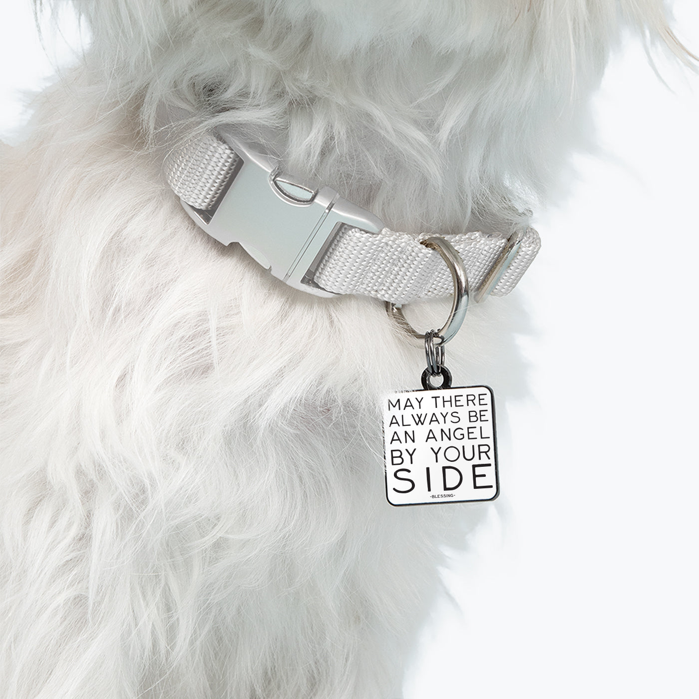 "angel by your side" pet collar charm