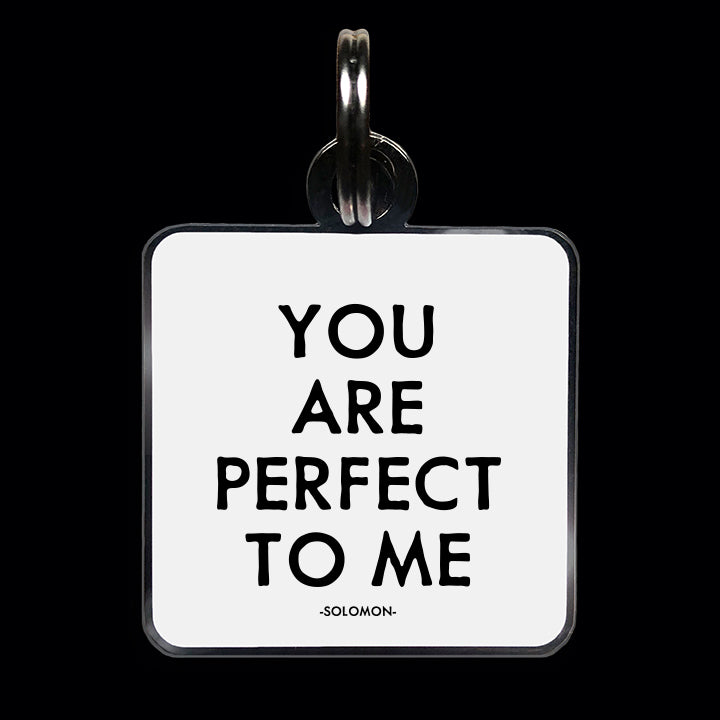 "you are perfect" pet collar charm