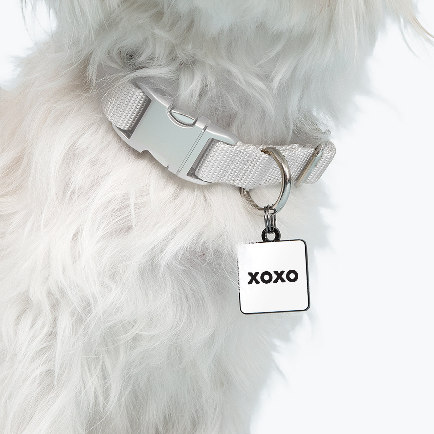 "xoxo" pet collar charm