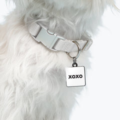 "xoxo" pet collar charm