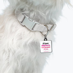 "if i know what love is" pet collar charm