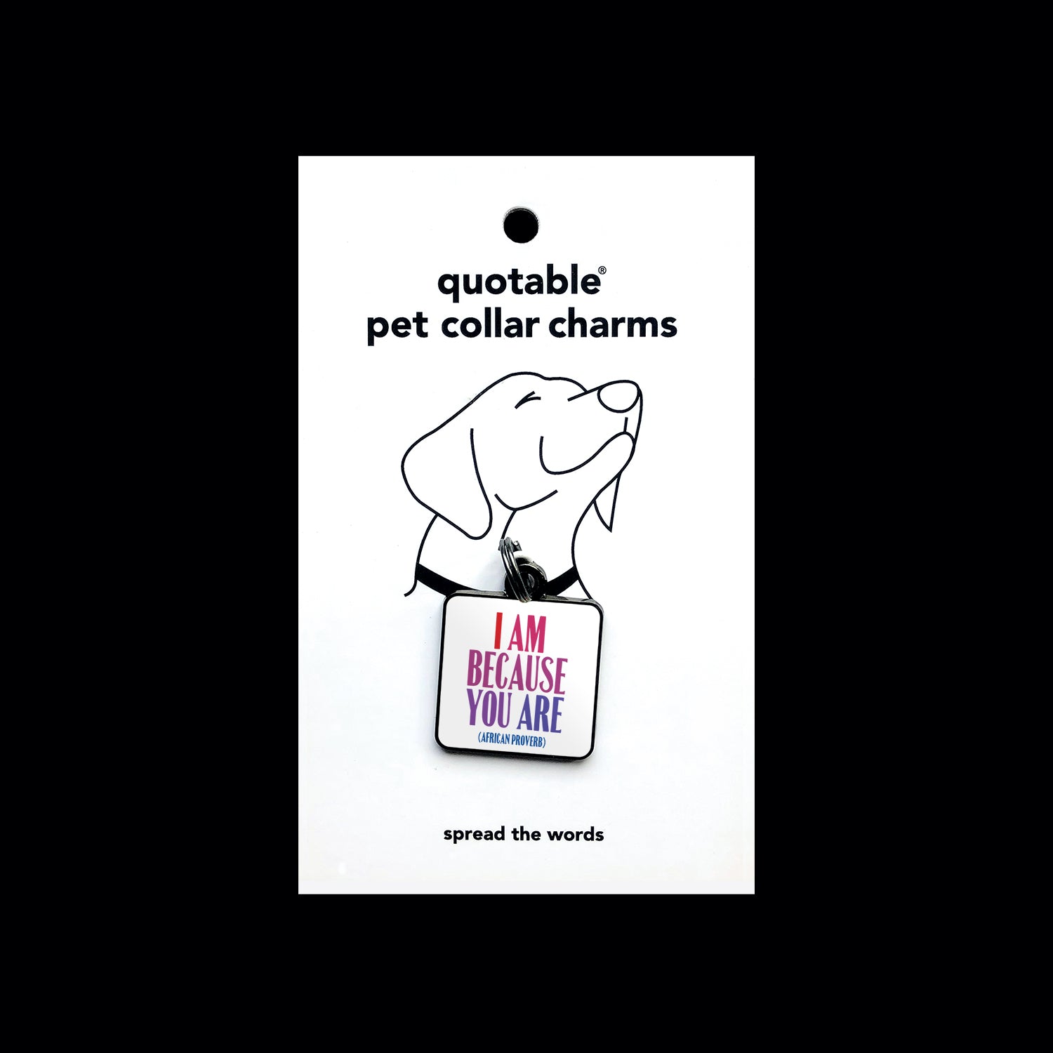 "i am because you are" pet collar charm