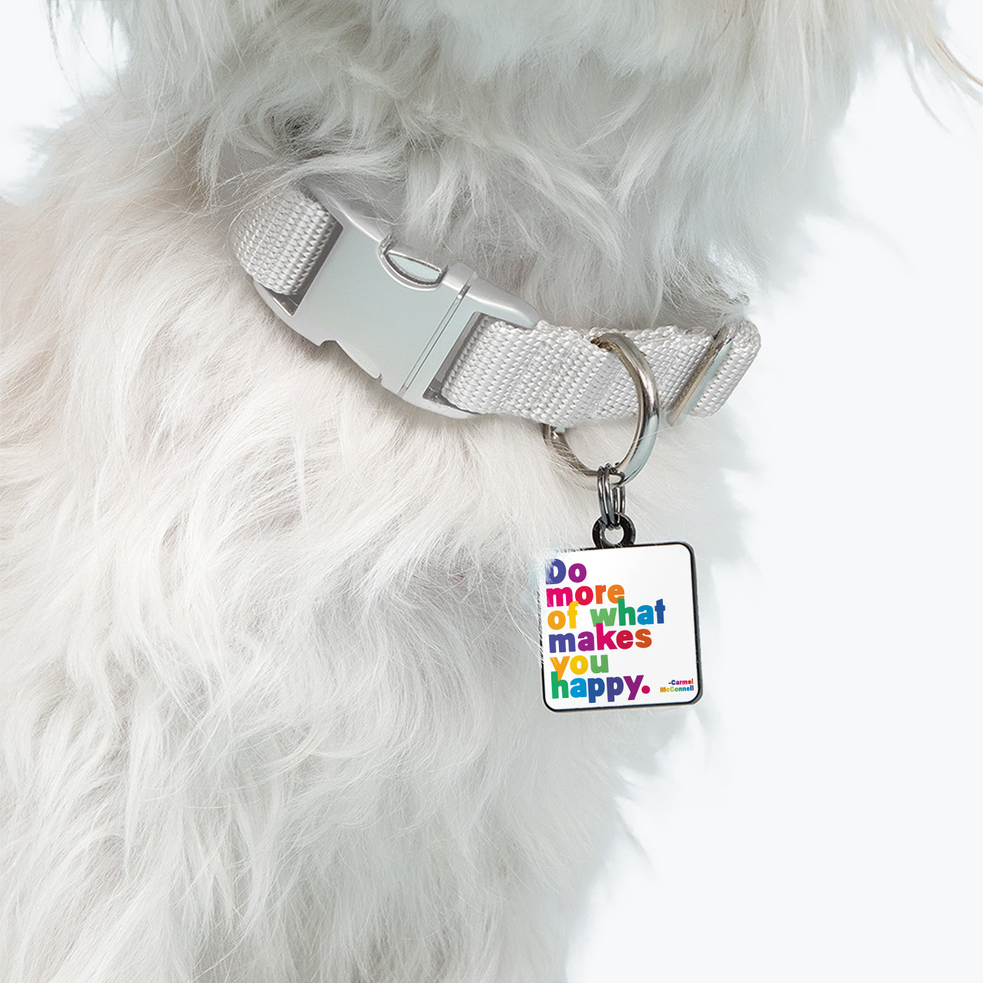 "do more" pet collar charm