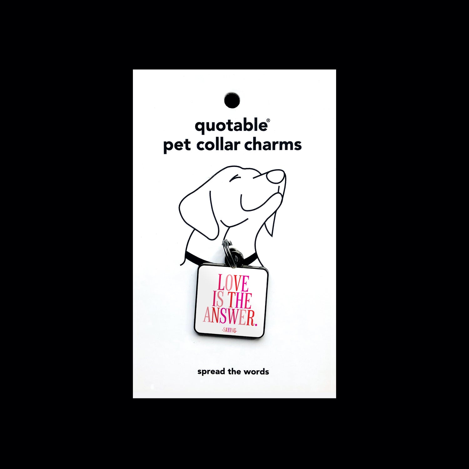 "love is the answer" pet collar charm