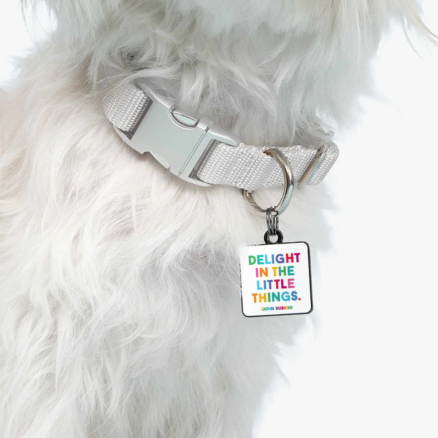 "delight in the little things" pet collar charm