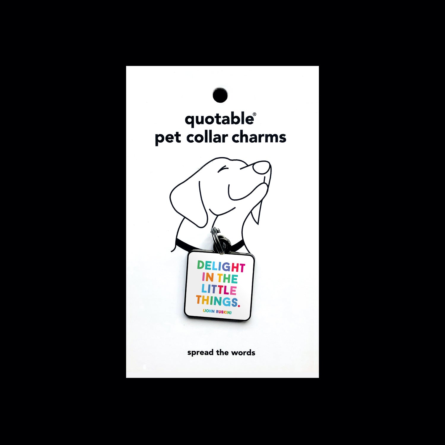"delight in the little things" pet collar charm