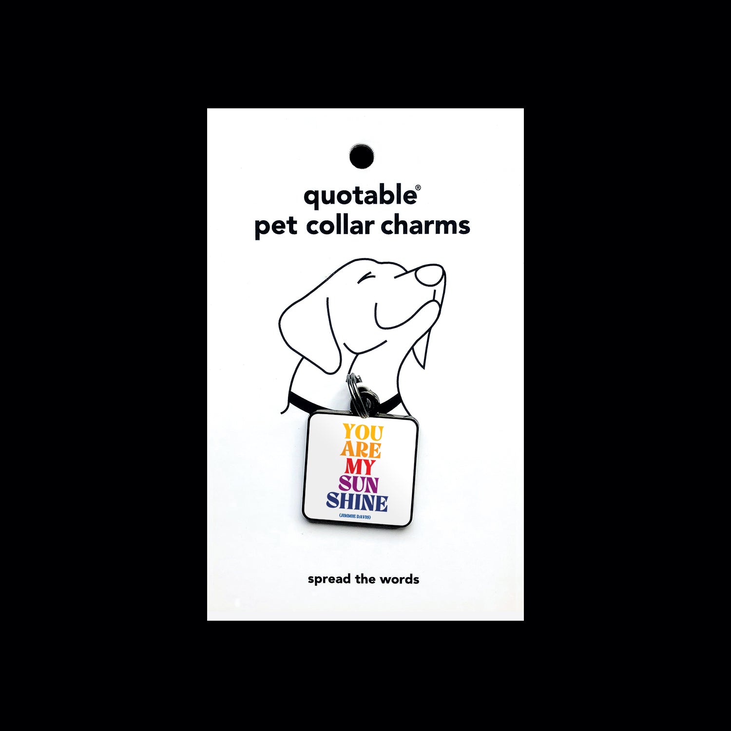 "you are my sunshine" pet collar charm