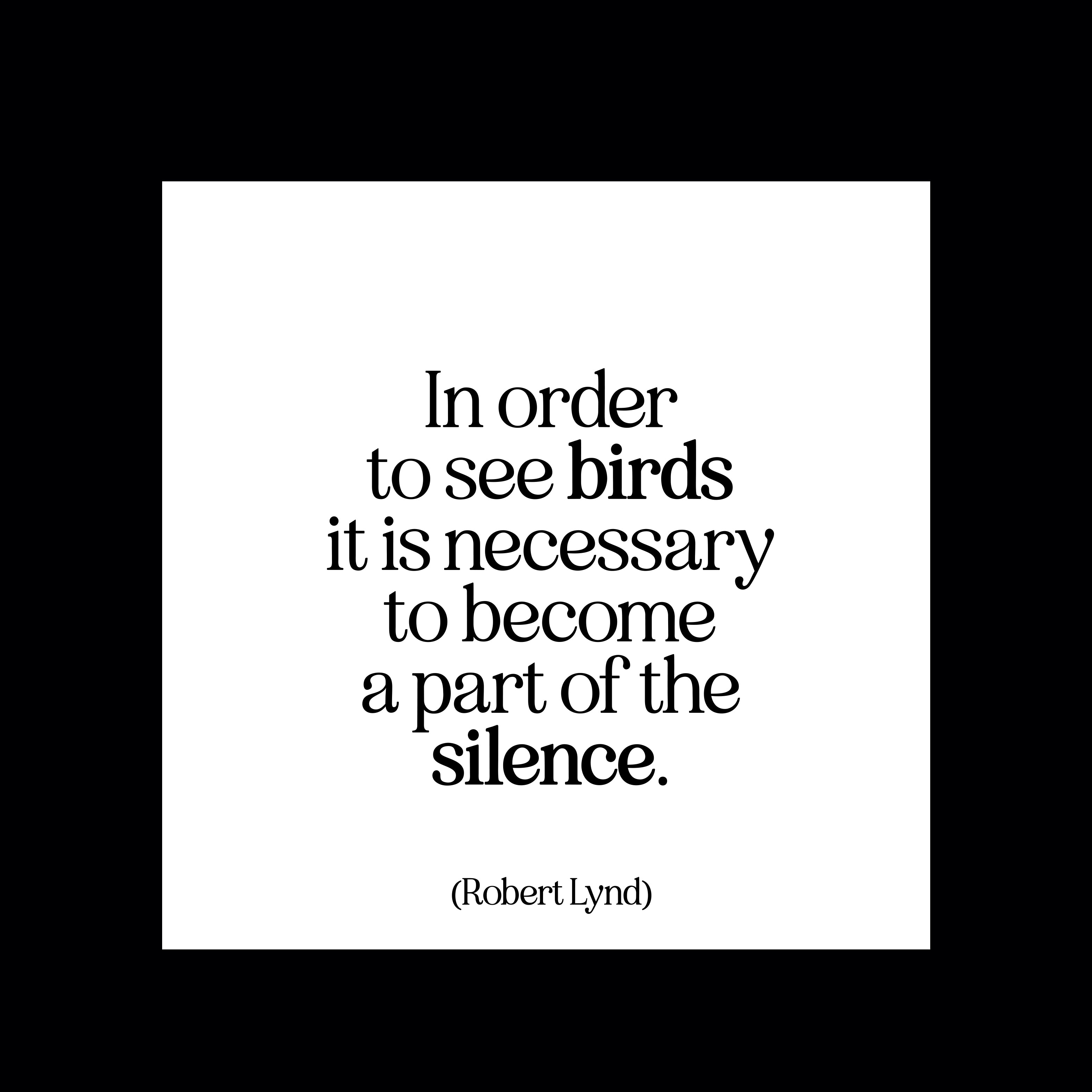 "in order to see birds" magnet