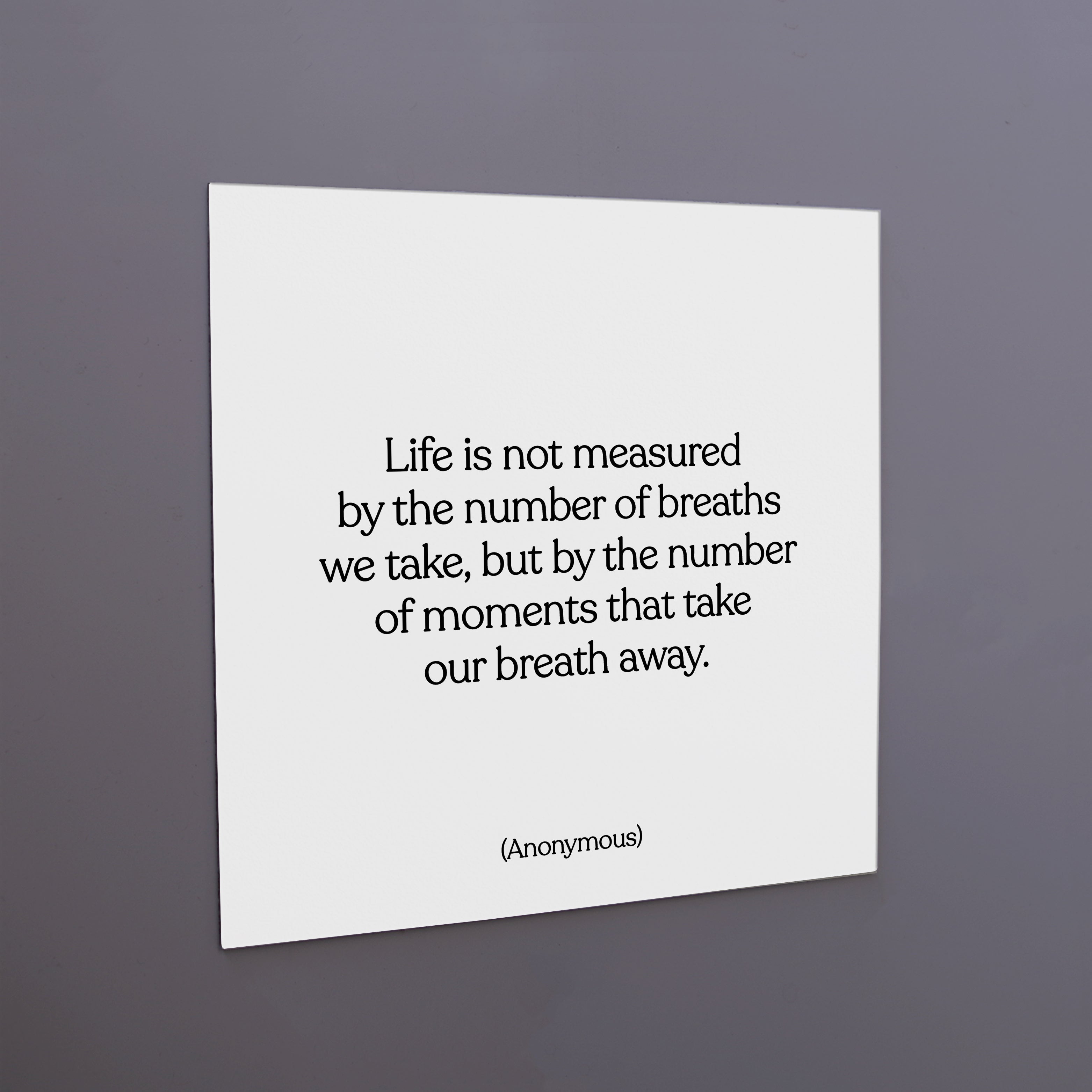 "life is not measured" magnet