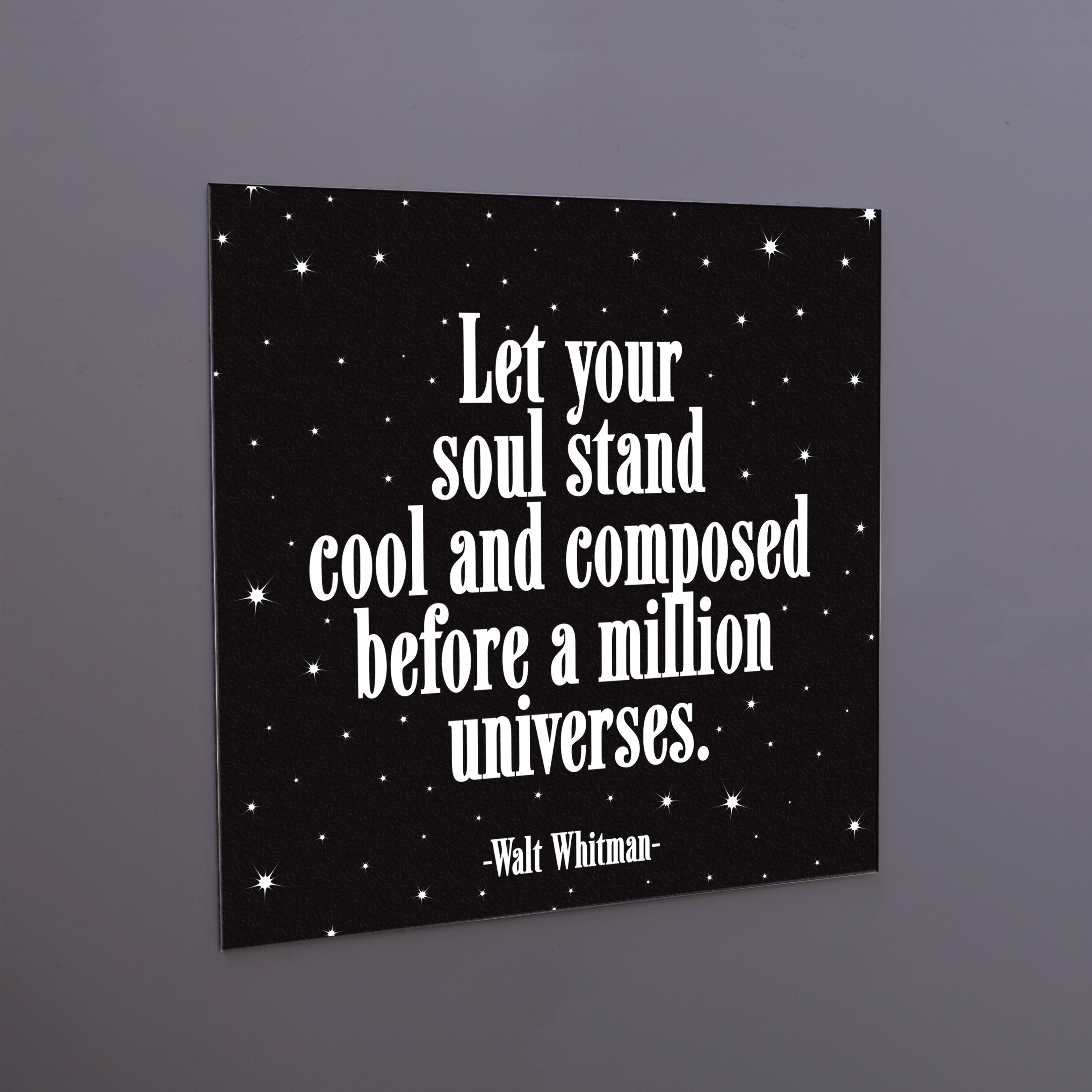 "let your soul stand" magnet