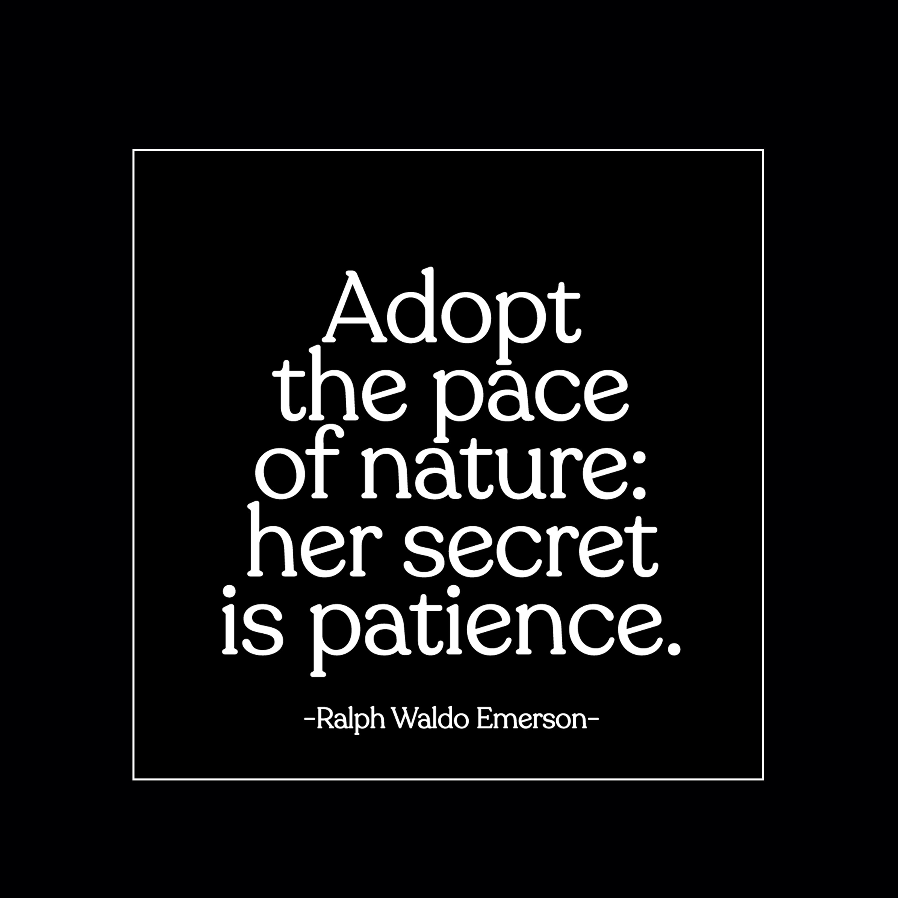 "adopt the pace of nature" magnet