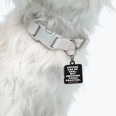 "anyone can be cool" pet collar charm