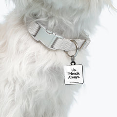 "us. friends. always." pet collar charm