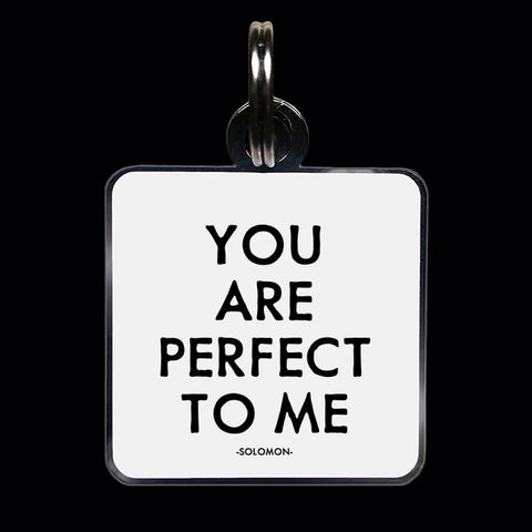 "you are perfect" pet collar charm