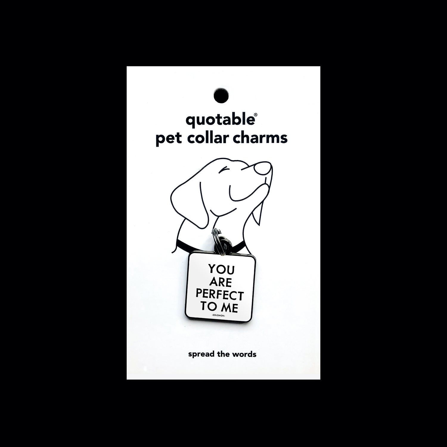 "you are perfect" pet collar charm