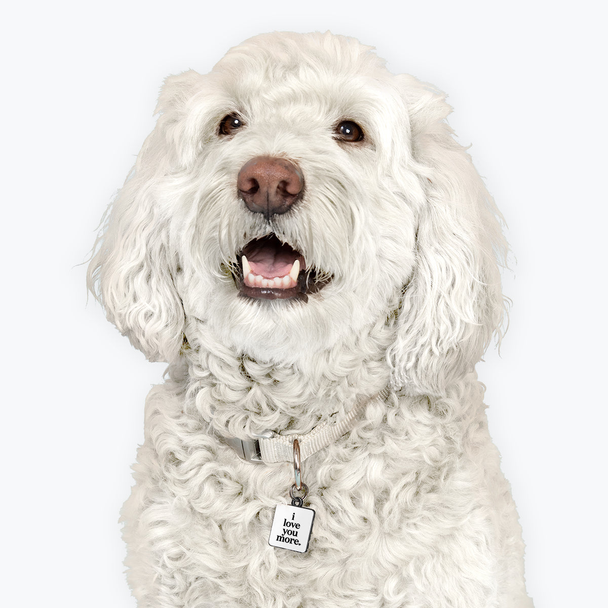 "i love you more." pet collar charm