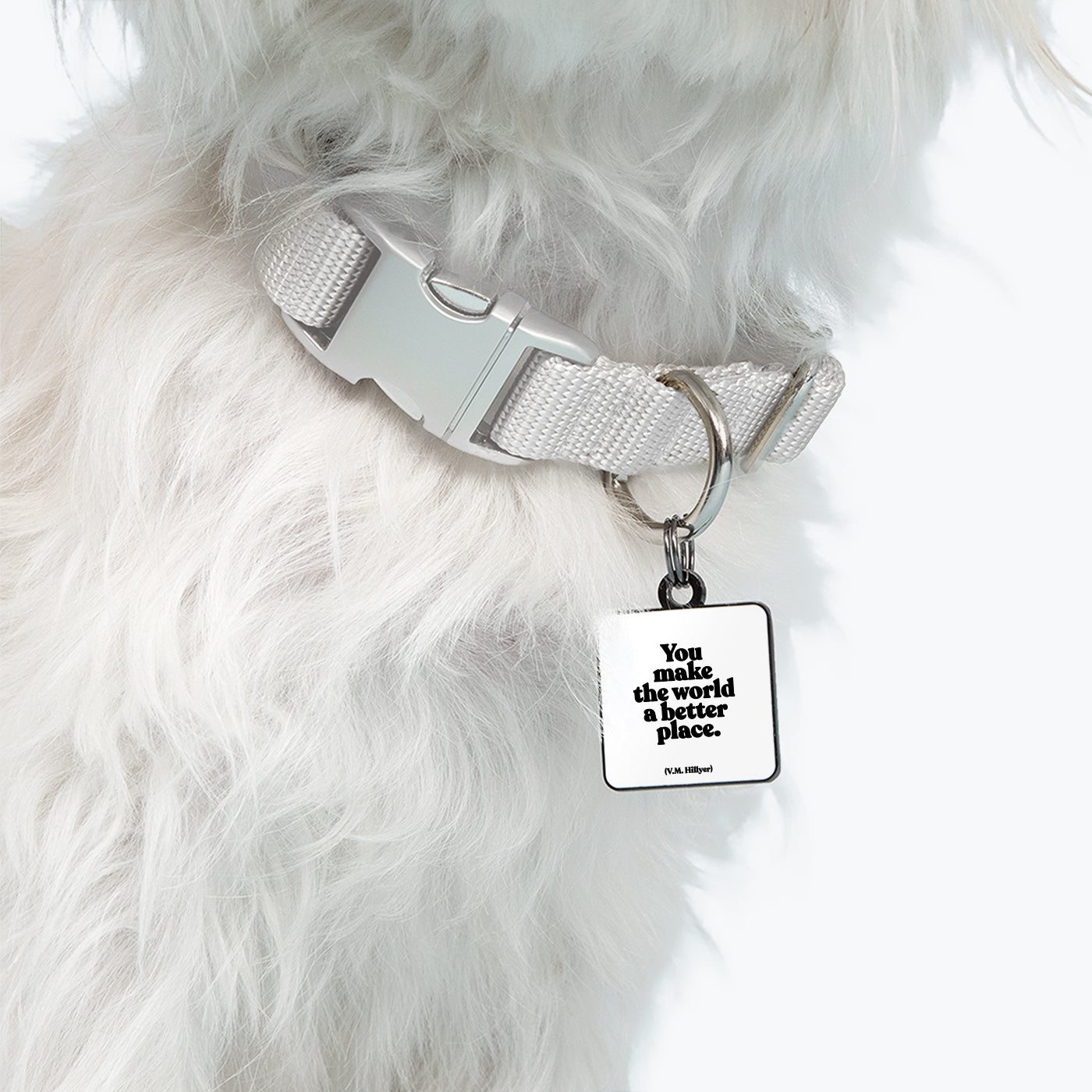 "you make the world a better place." pet collar charm