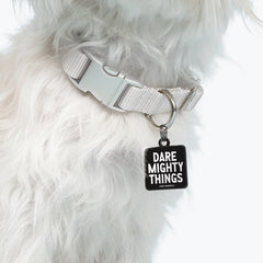 "dare mighty things" pet collar charm