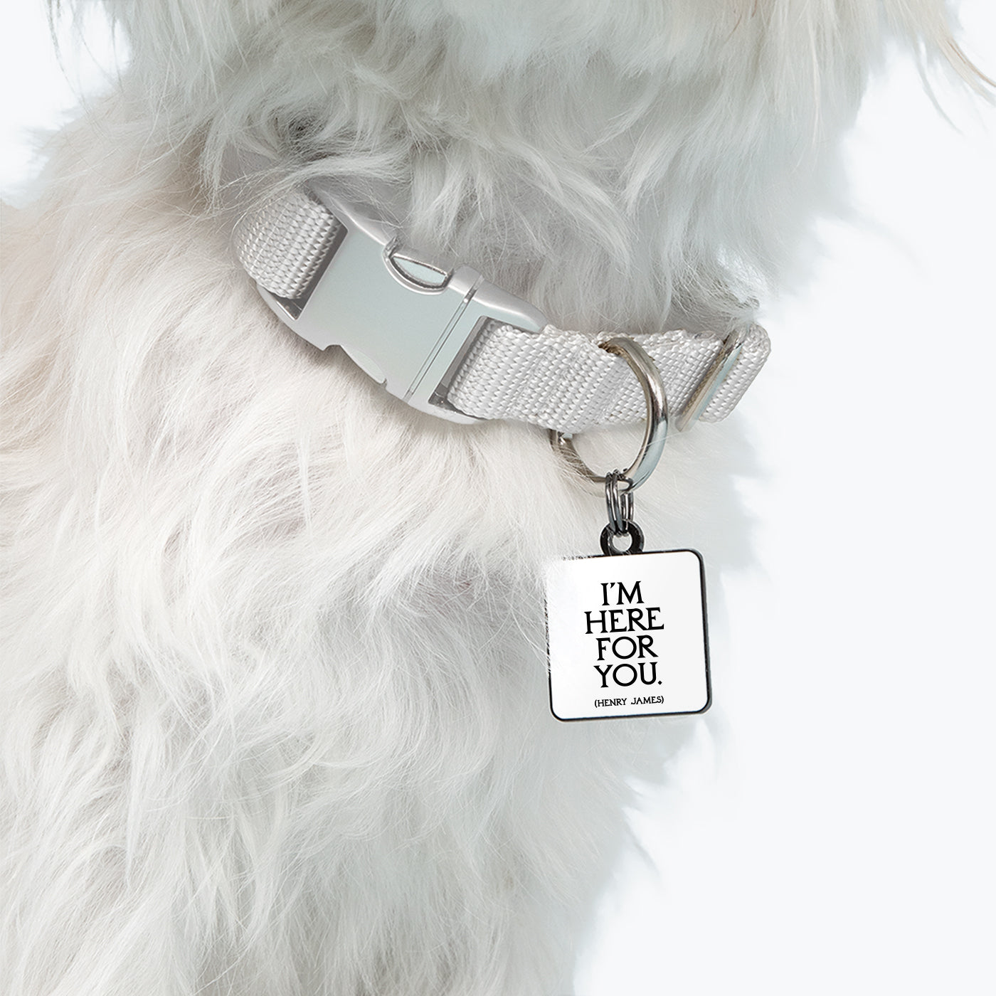 "i'm here for you" pet collar charm