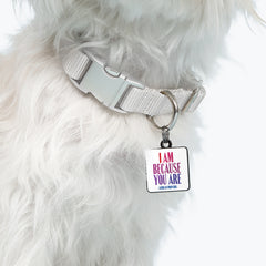"i am because you are" pet collar charm