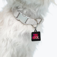 "you rock" pet collar charm