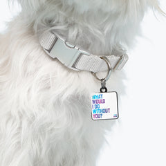 "what would I do" pet collar charm