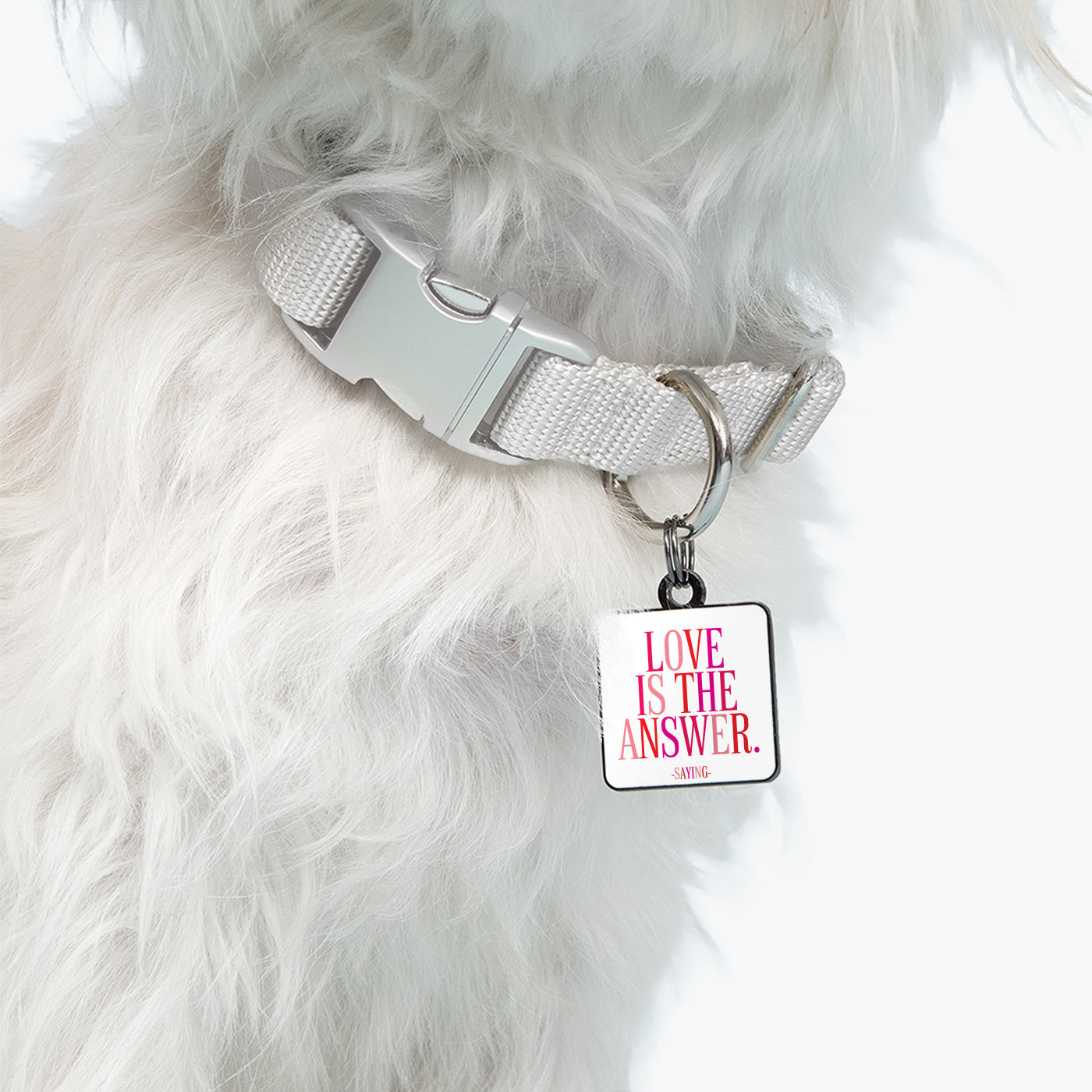 "love is the answer" pet collar charm