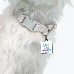 "with you always" pet collar charm