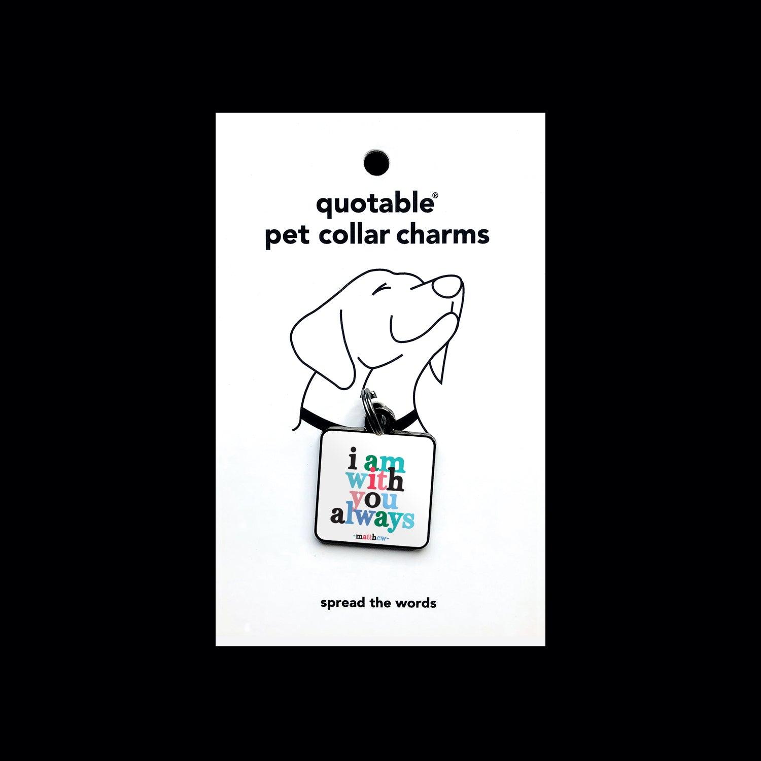 "with you always" pet collar charm