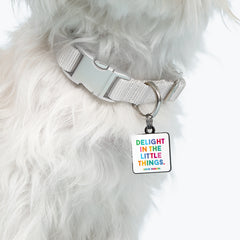 "delight in the little things" pet collar charm