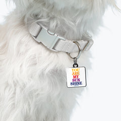 "you are my sunshine" pet collar charm