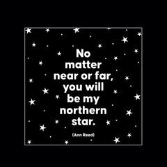 "northern star" magnet