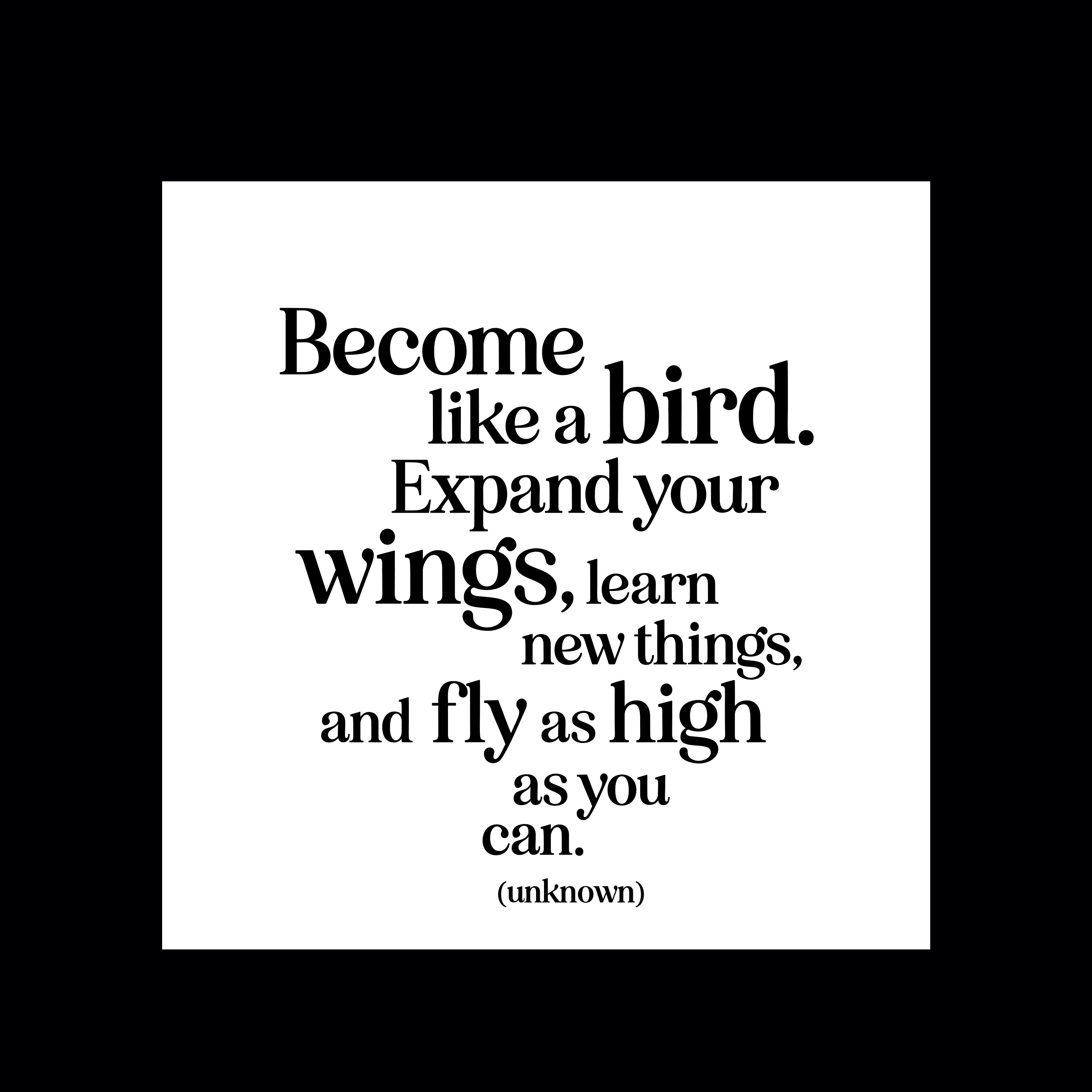 "become like a bird" magnet