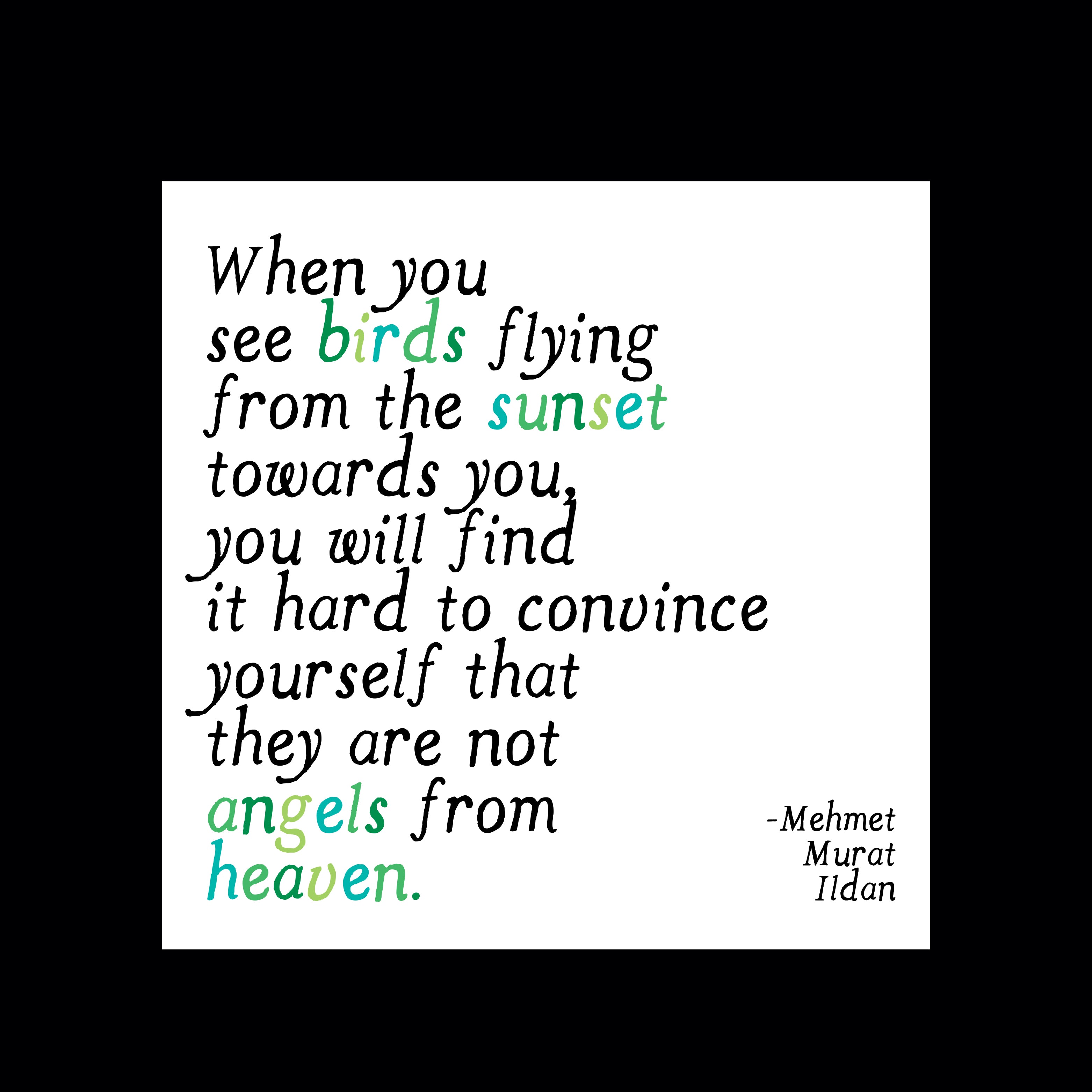 "when you see birds flying" magnet