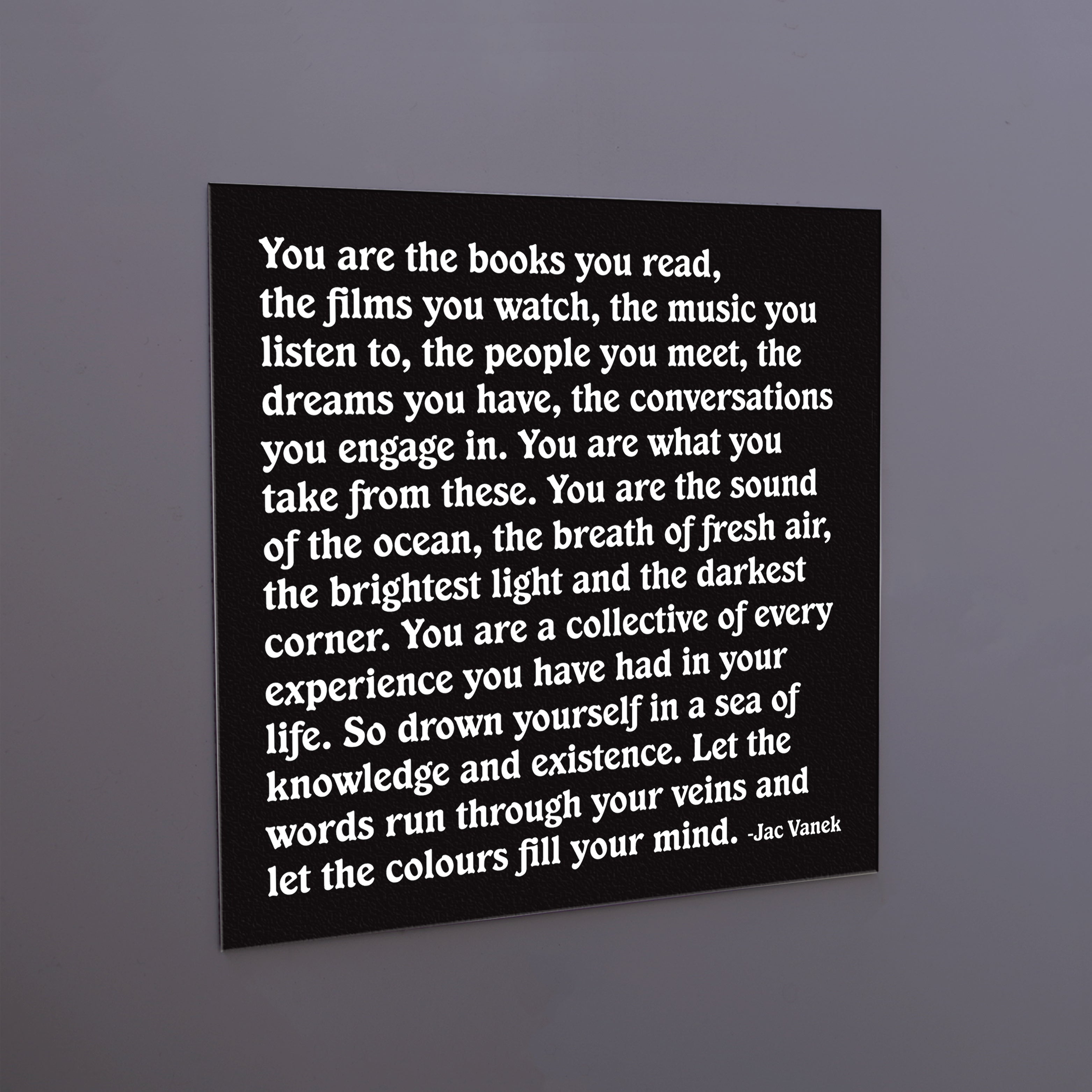 "you are the books you read" magnet