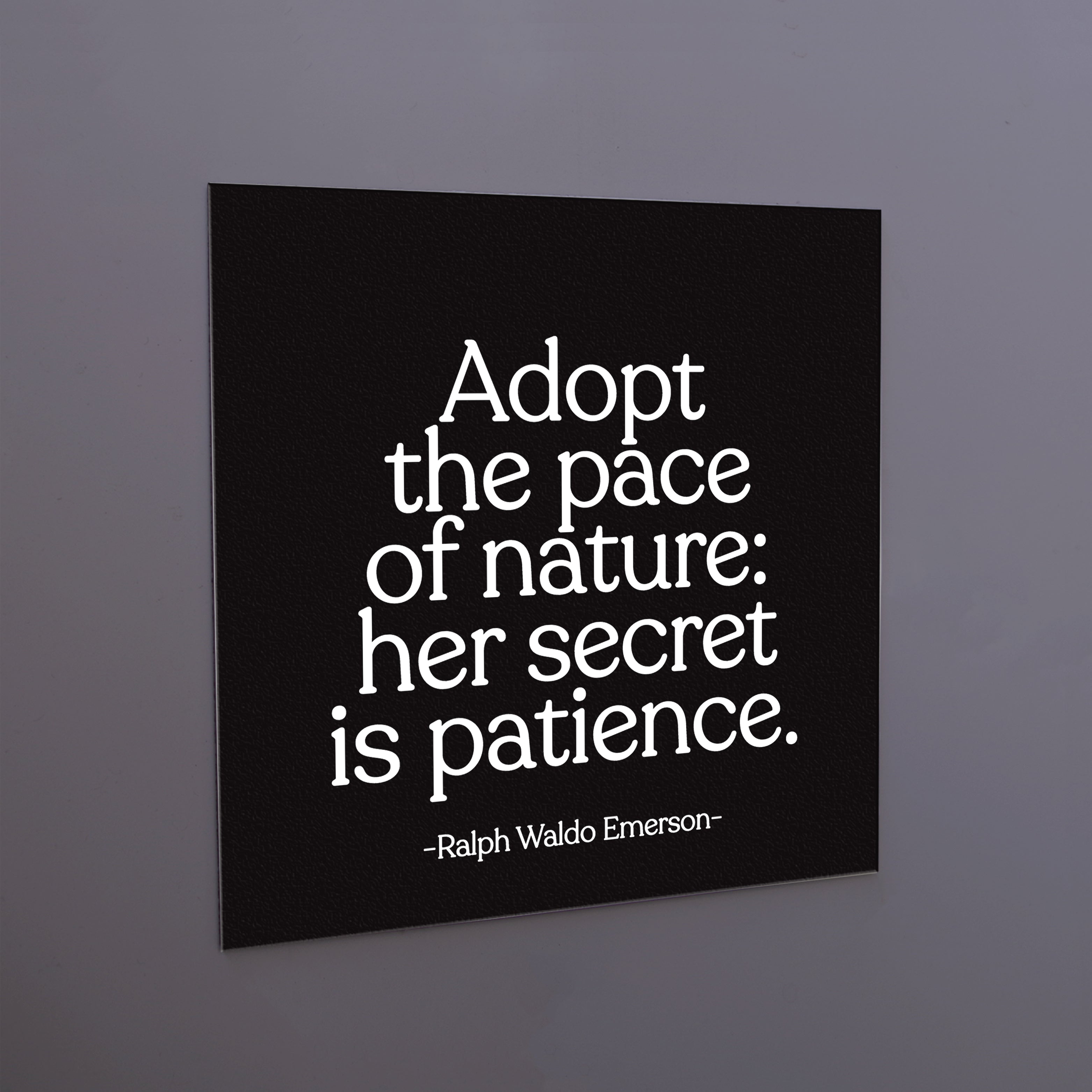 "adopt the pace of nature" magnet