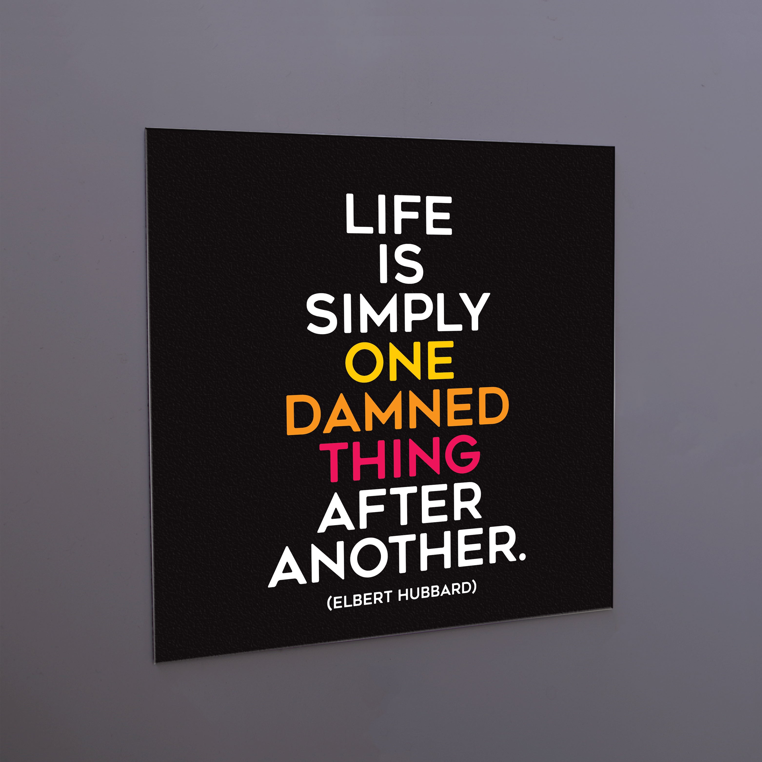 "life is simply one damned thing" magnet